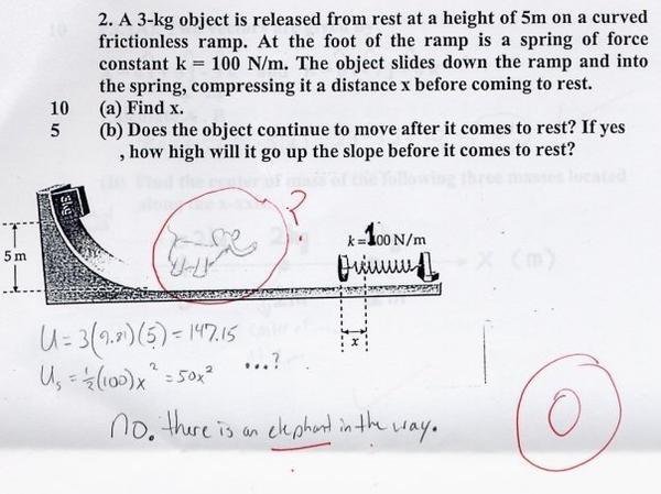 funny exam. Funny exam answers